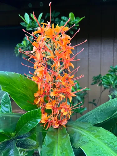 Photo of the Day: Splash of Colors